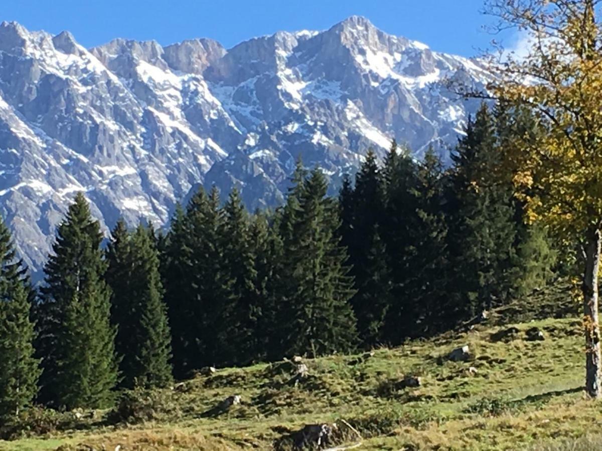 Willa Auhaeuslalm Maria Alm am Steinernen Meer Zewnętrze zdjęcie